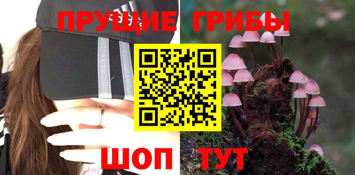 Октябрьский  Псилоцибиновые грибы Magic Shrooms  Вход с VPN 