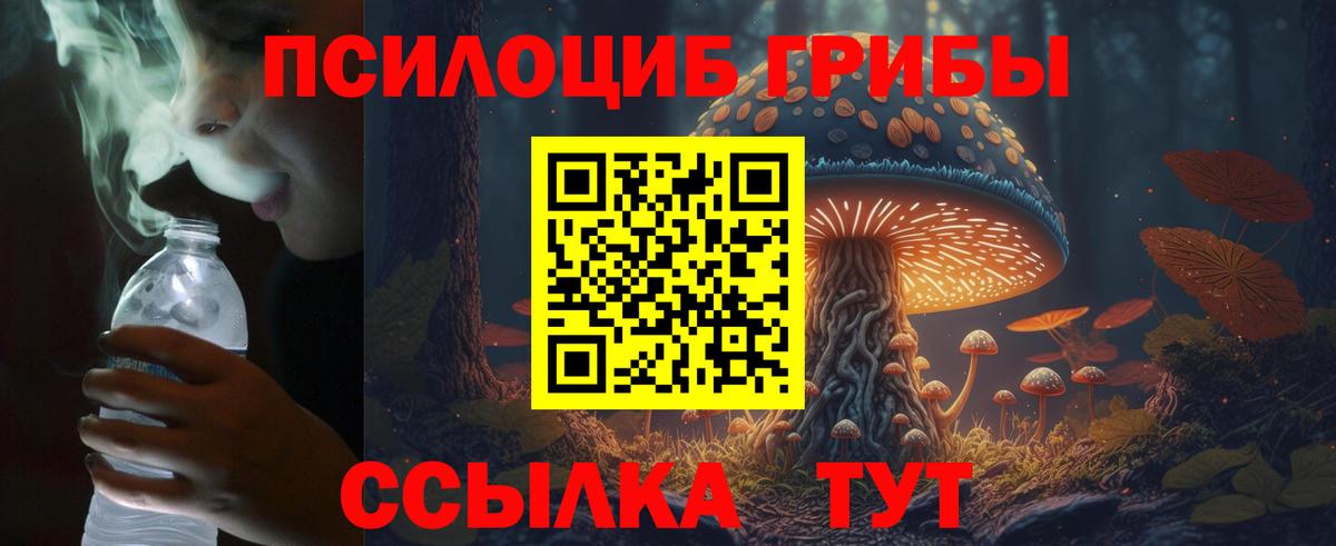 Псилоцибиновые грибы MAGIC MUSHROOMS Октябрьский