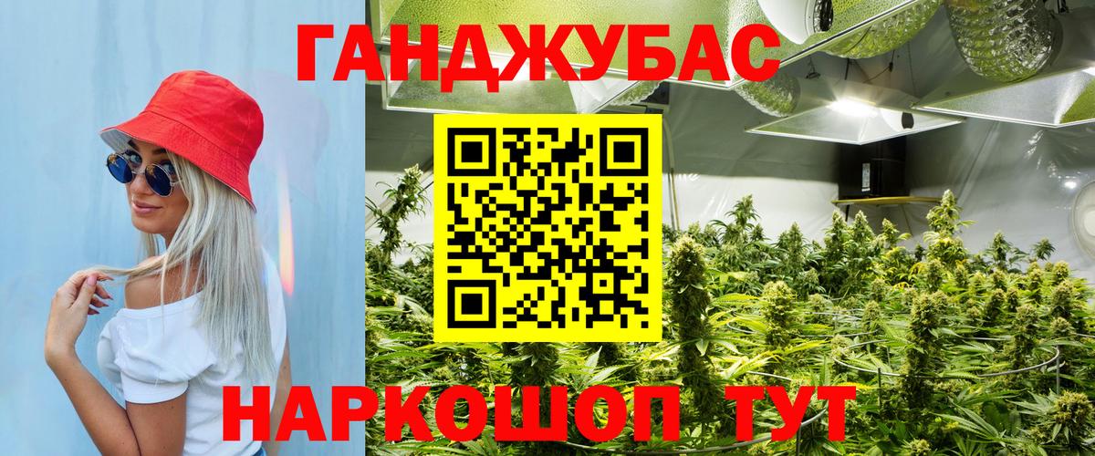 Канабис гибрид Октябрьский